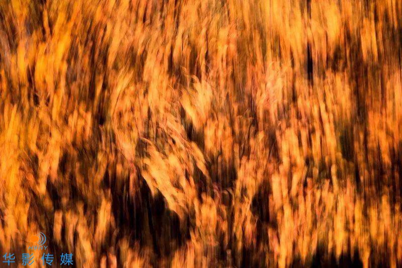 1619080697860867.jpeg 123038fO5.jpeg