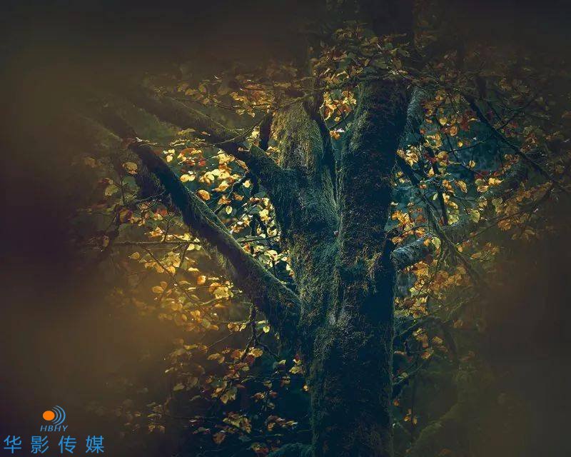 1619080762870099.jpeg 123041XGJ.jpeg