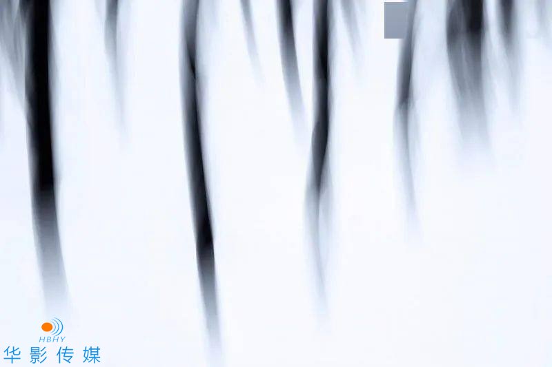 1619080799974001.jpeg 123043ojT.jpeg